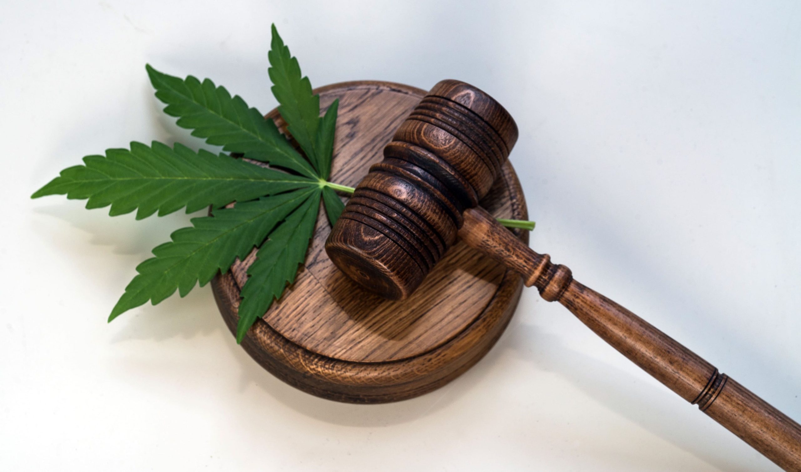 cannabis leaf next to gavel