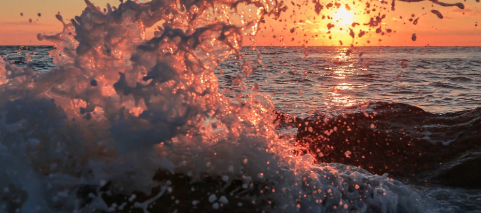 gentlemen-smugglers-blog-diving-deeper-into-their-story